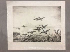 Roland Green (British, 1896-1976) Etching 'Ducks alighting', trial proof