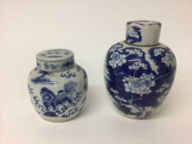 Two 19th century Chinese blue and white ginger jars and covers, one decorated with foo dogs and the