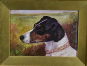English School (c1900) pair of oils on board - Studies of Terriers, 16cm x 23cm, in original gilt fr