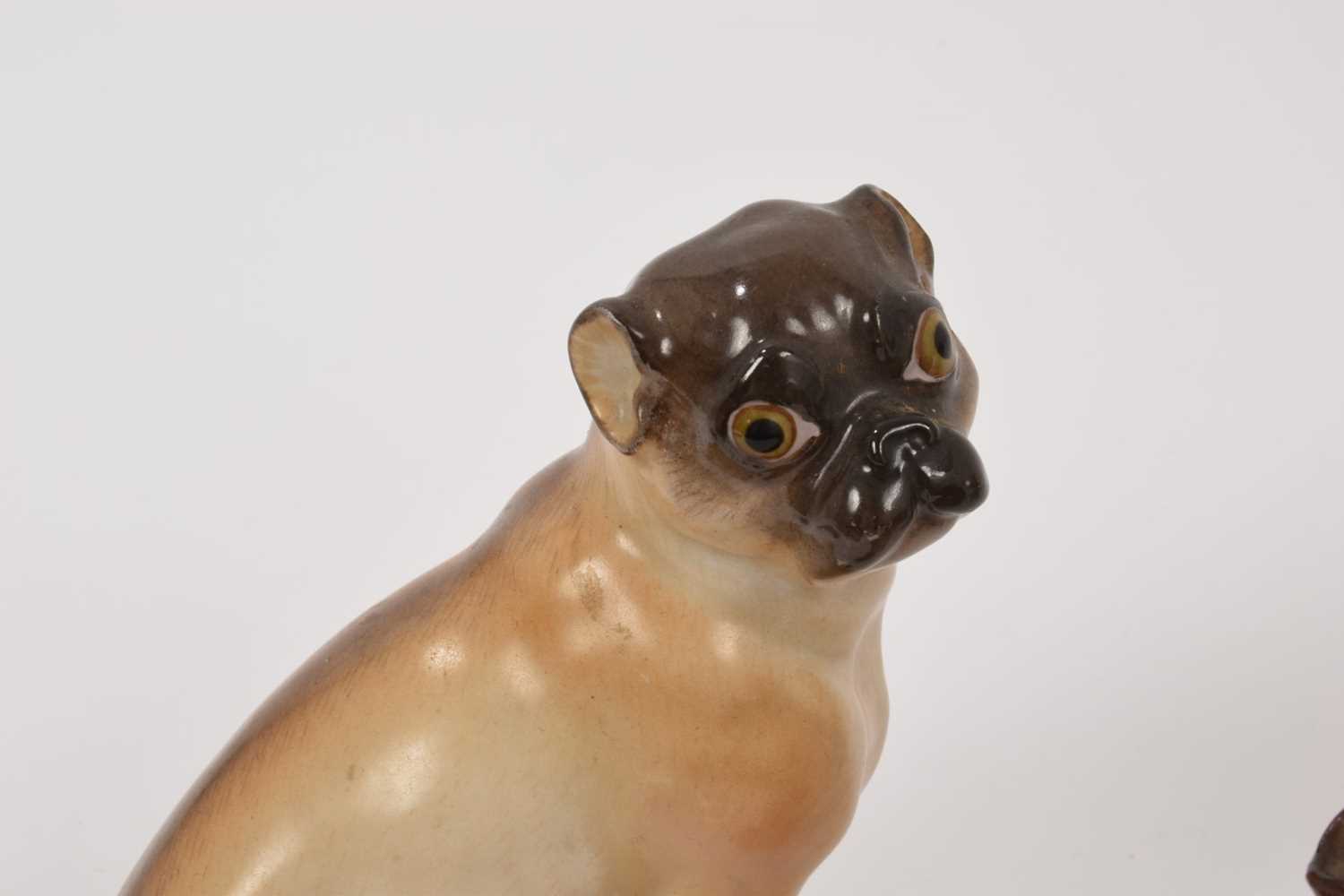 Meissen pug and two similar pugs - Image 3 of 8
