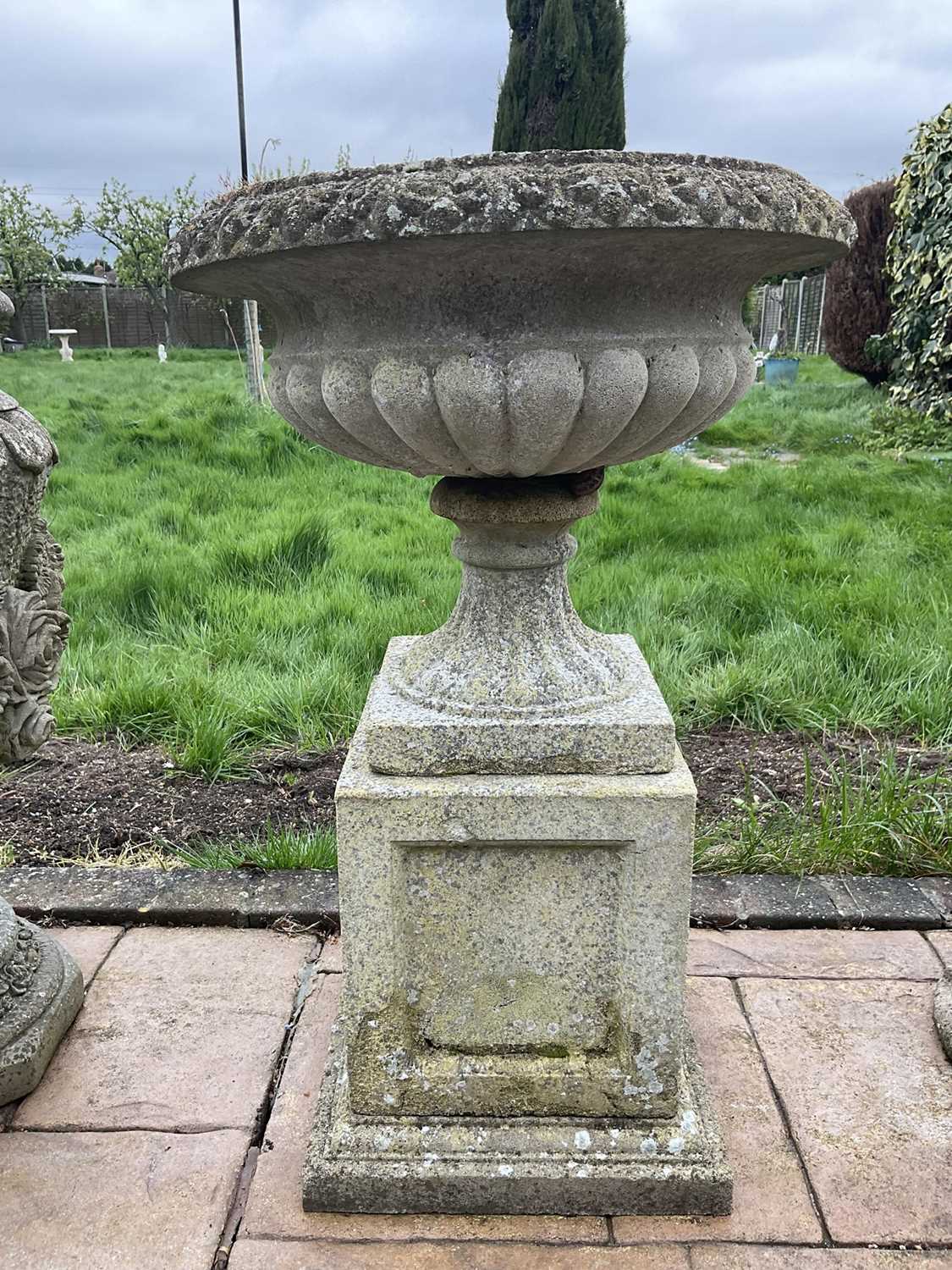 Pair of reconstituted stone garden urms of campagna form with egg and dart rim, reeded bowl on socle - Image 3 of 6