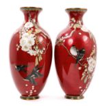 Large pair of fine quality Japanese cloisonné enamel vases