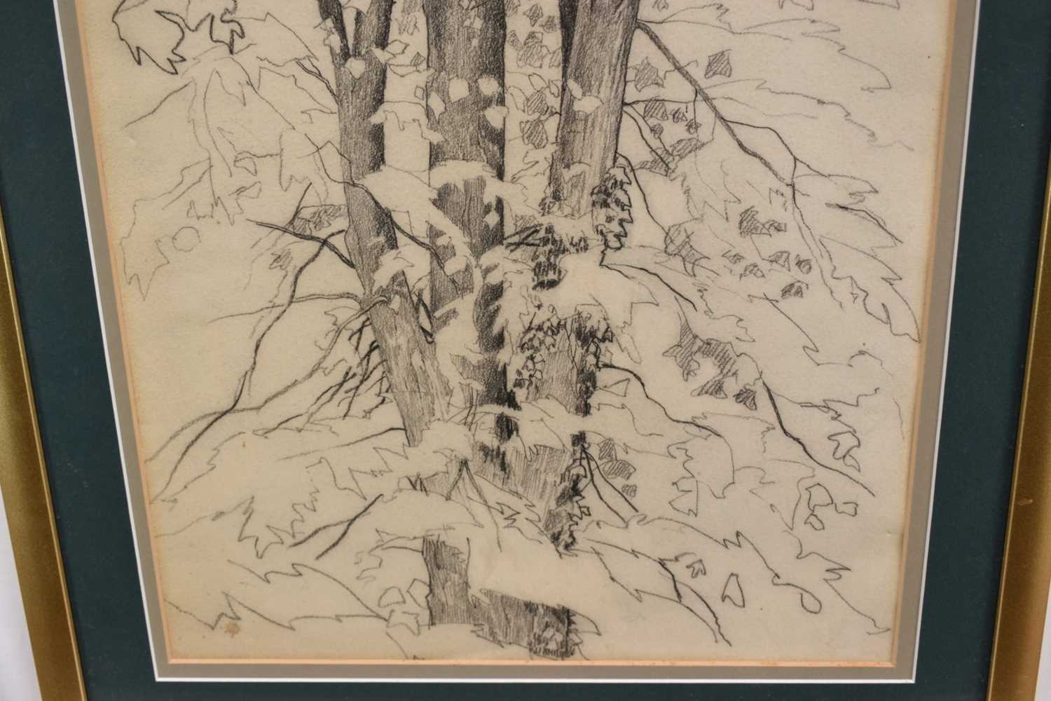 Paul Earee (1888-1968) graphite study - Tree, inscribed verso with authentication by the artist's da - Image 4 of 7