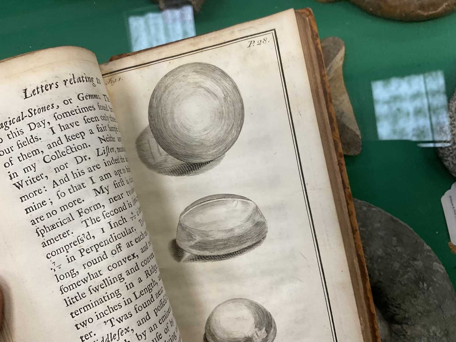 John Woodward - Fossils of all Kinds, 1728 first edition - Image 10 of 18