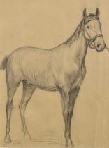 Robert G. D. Alexander (1875-1945) two Slade School sketches of horses, 30cm x 40cm and 37cm x 28cm,