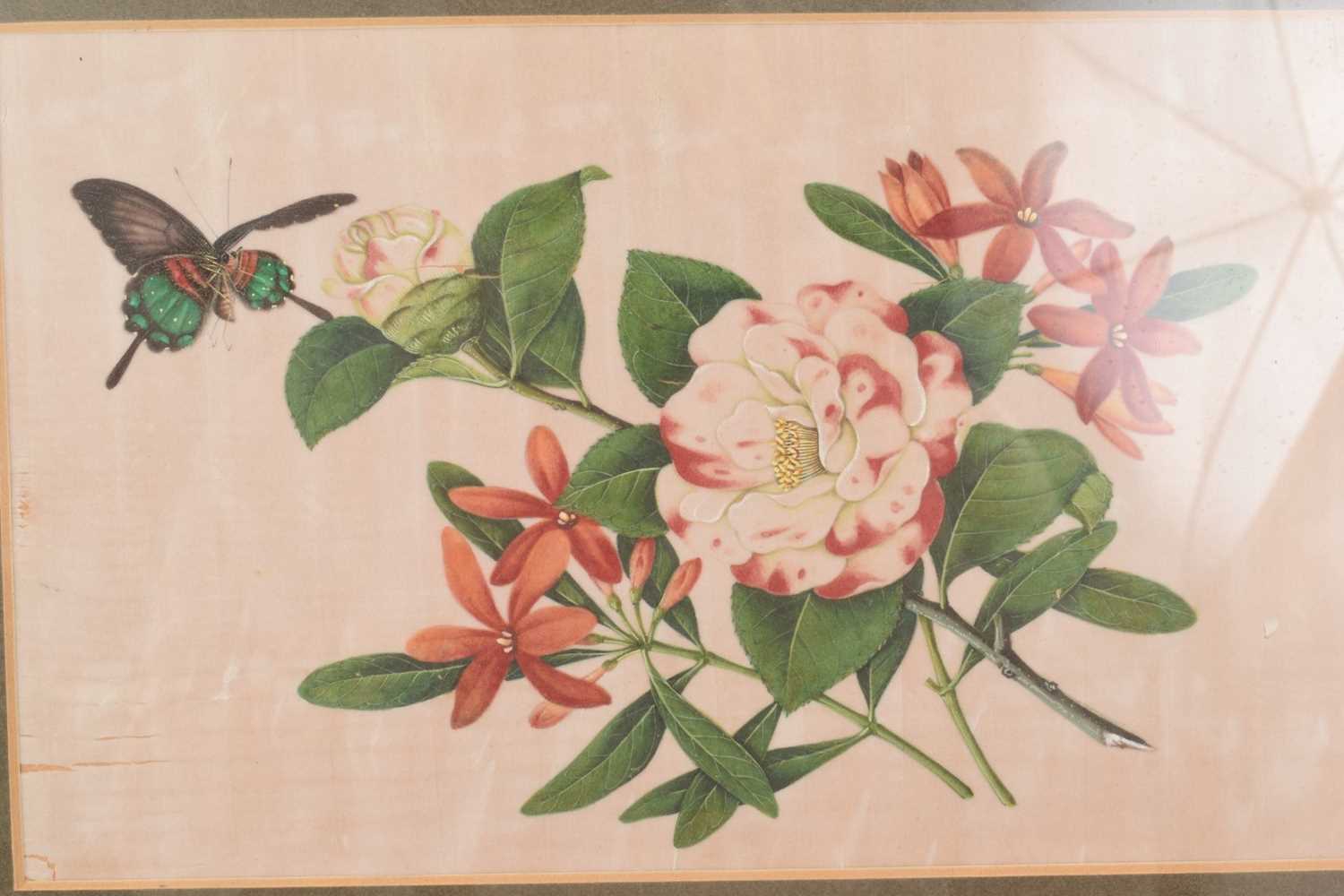 Set of four Chinese paintings on pith paper - Image 4 of 6