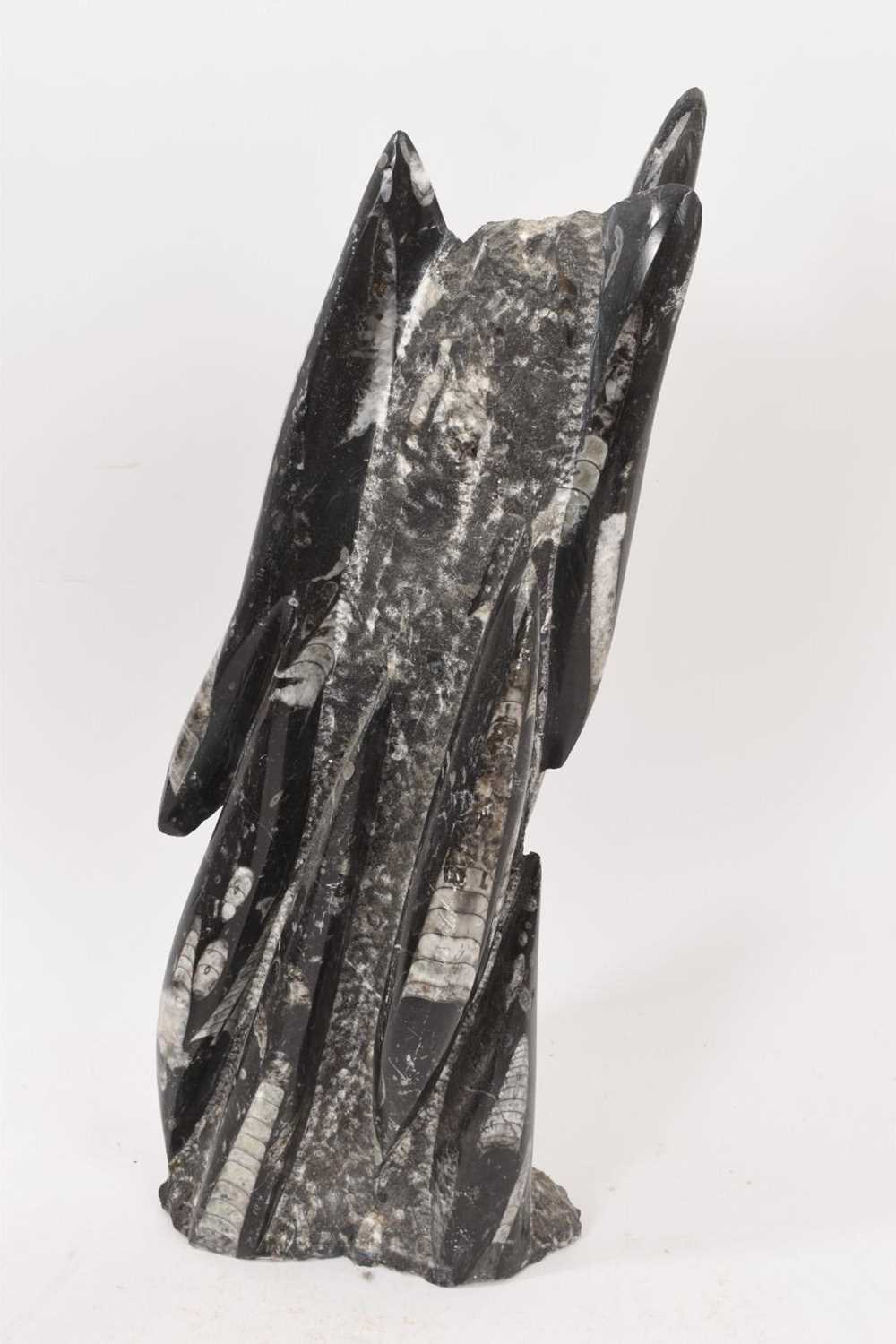 A large belemnite cluster specimen, 42cm high - Image 3 of 3