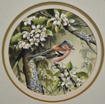 Terence James Bond (1946-2023) pair of watercolours - Kingfisher and Chaffinch, signed, 25.5cm tondo