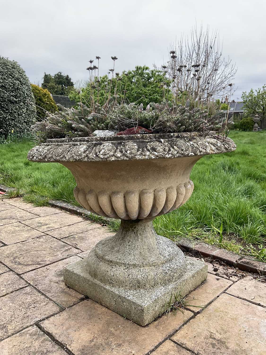 Pair of reconstituted stone garden urms of campagna form with egg and dart rim, reeded bowl on socle