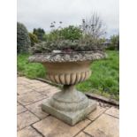 Pair of reconstituted stone garden urms of campagna form with egg and dart rim, reeded bowl on socle