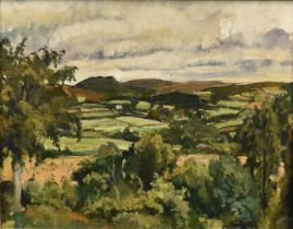 *Mary Millar Watt (1924-2023) oil on board, Hilly landscape, 27 x 33cm, framed