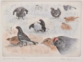 Peter Partington (b.1941) pair of signed limited edition coloured etchings - Black Grouse, 61/200 an