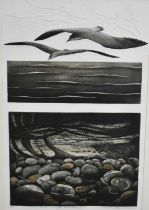 Elizabeth Morris, contemporary, signed artists proof etching - 'Sea, heights and depths', 82cm x 54c