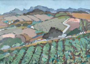 Lynn Bushell (b.1946) oil on canvas - Vineyards, Dordogne, signed, 50cm x 70cm, framed