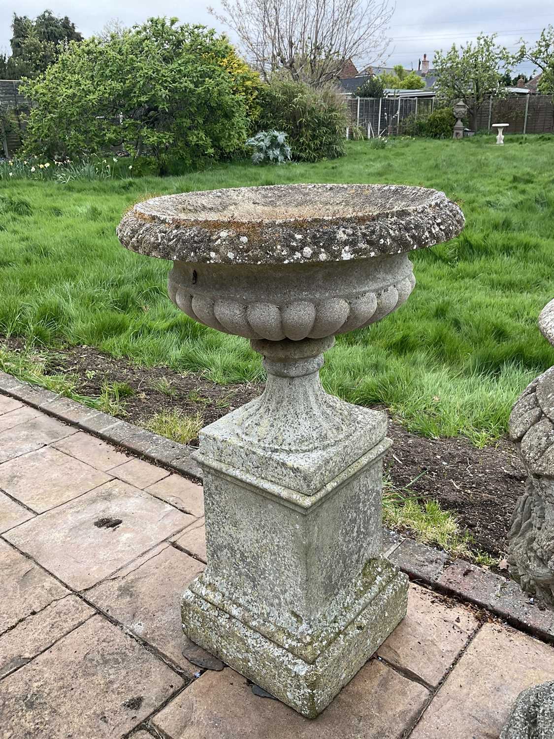 Pair of reconstituted stone garden urms of campagna form with egg and dart rim, reeded bowl on socle - Image 4 of 6