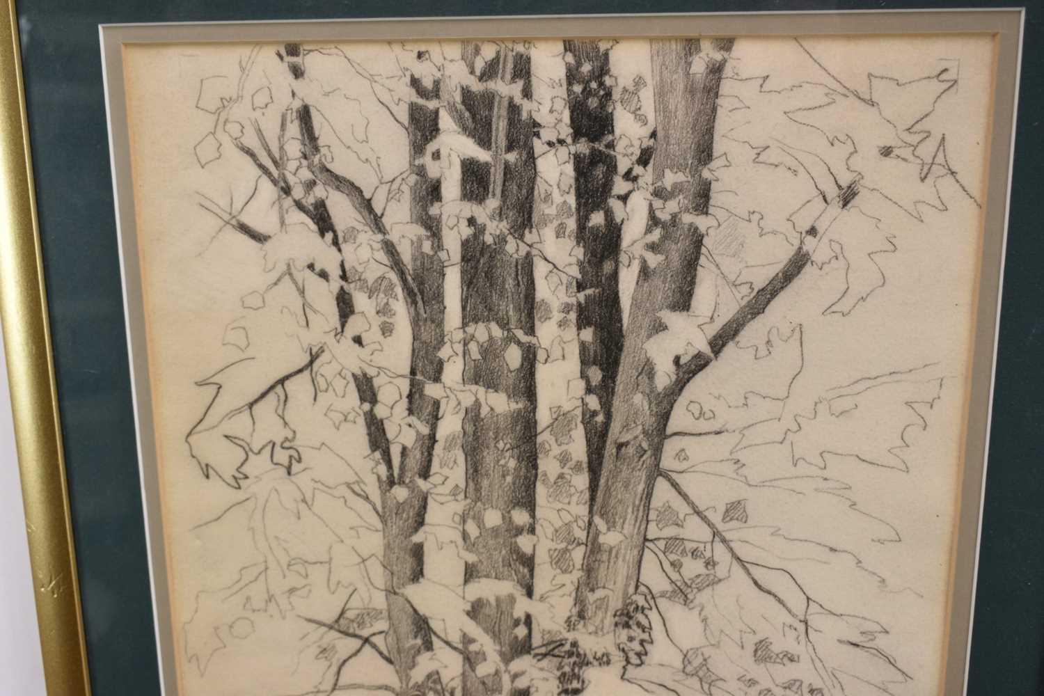Paul Earee (1888-1968) graphite study - Tree, inscribed verso with authentication by the artist's da - Image 3 of 7