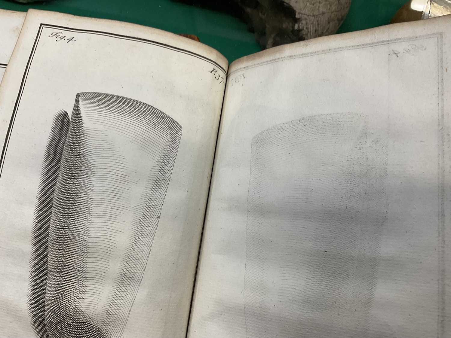 John Woodward - Fossils of all Kinds, 1728 first edition - Image 5 of 18