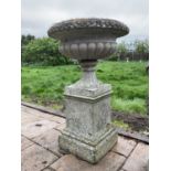 Pair of reconstituted stone garden urms of campagna form with egg and dart rim, reeded bowl on socle