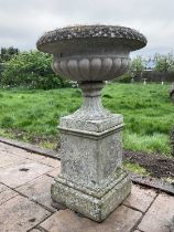Pair of reconstituted stone garden urms of campagna form with egg and dart rim, reeded bowl on socle