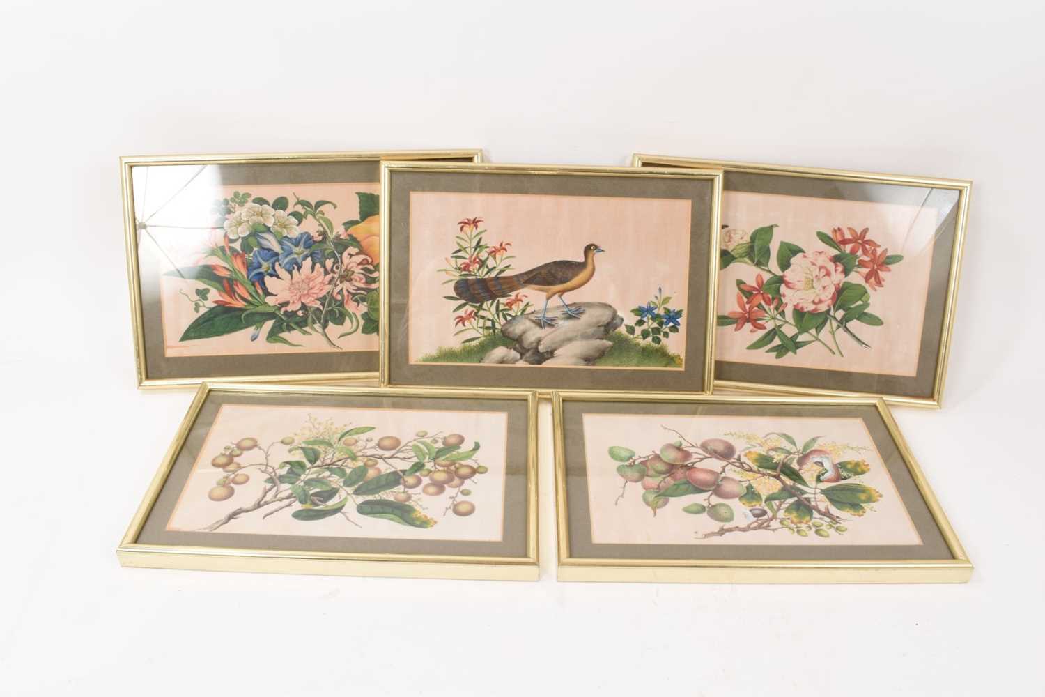 Set of four Chinese paintings on pith paper