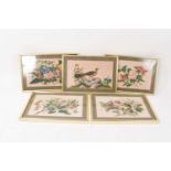 Set of four Chinese paintings on pith paper