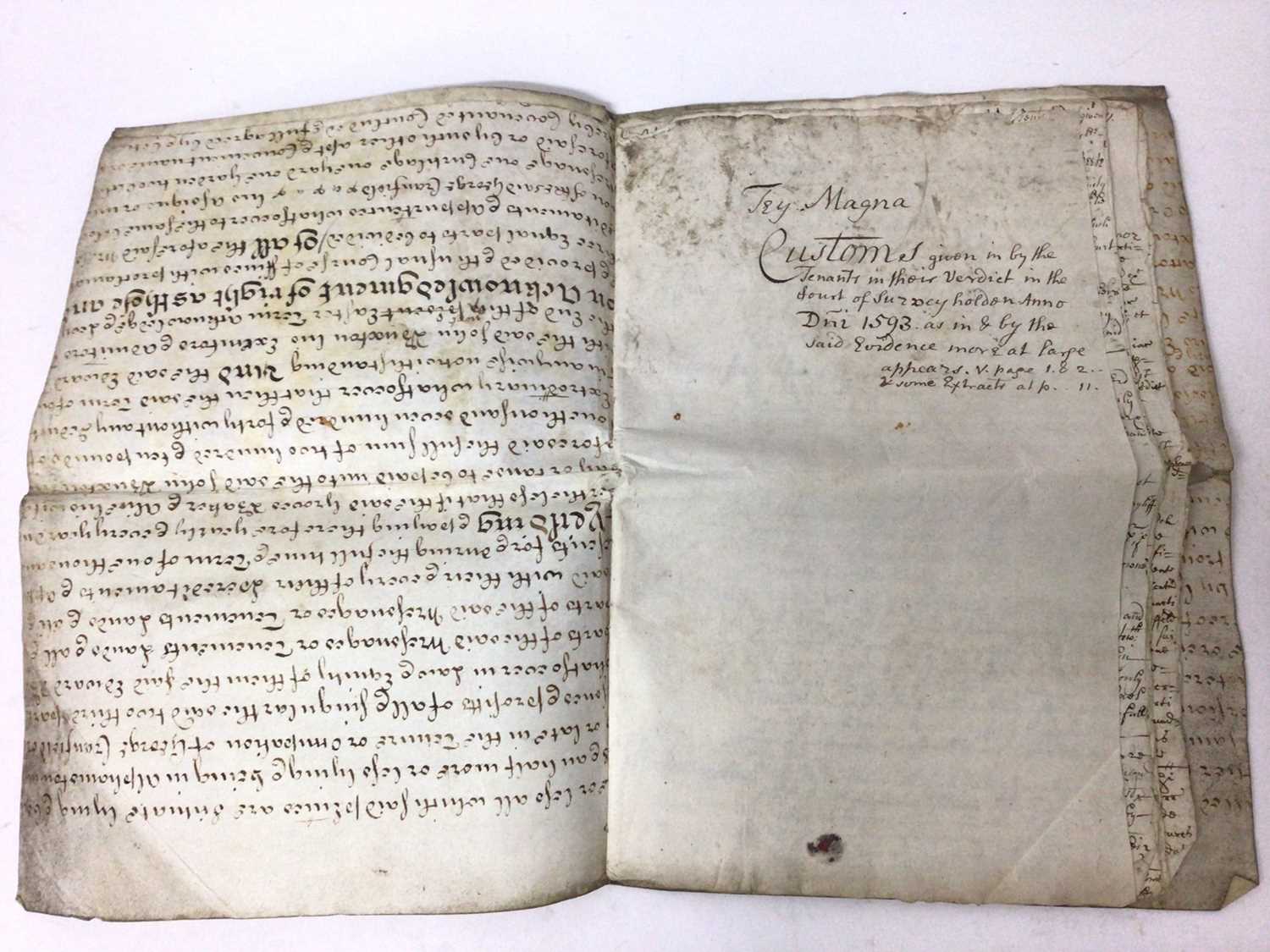 Document of local interest - The Manor of Great Tey, copy of a survey made 1593