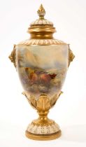 Royal Worcester vase and cover decorated with highland cattle by James Stinton