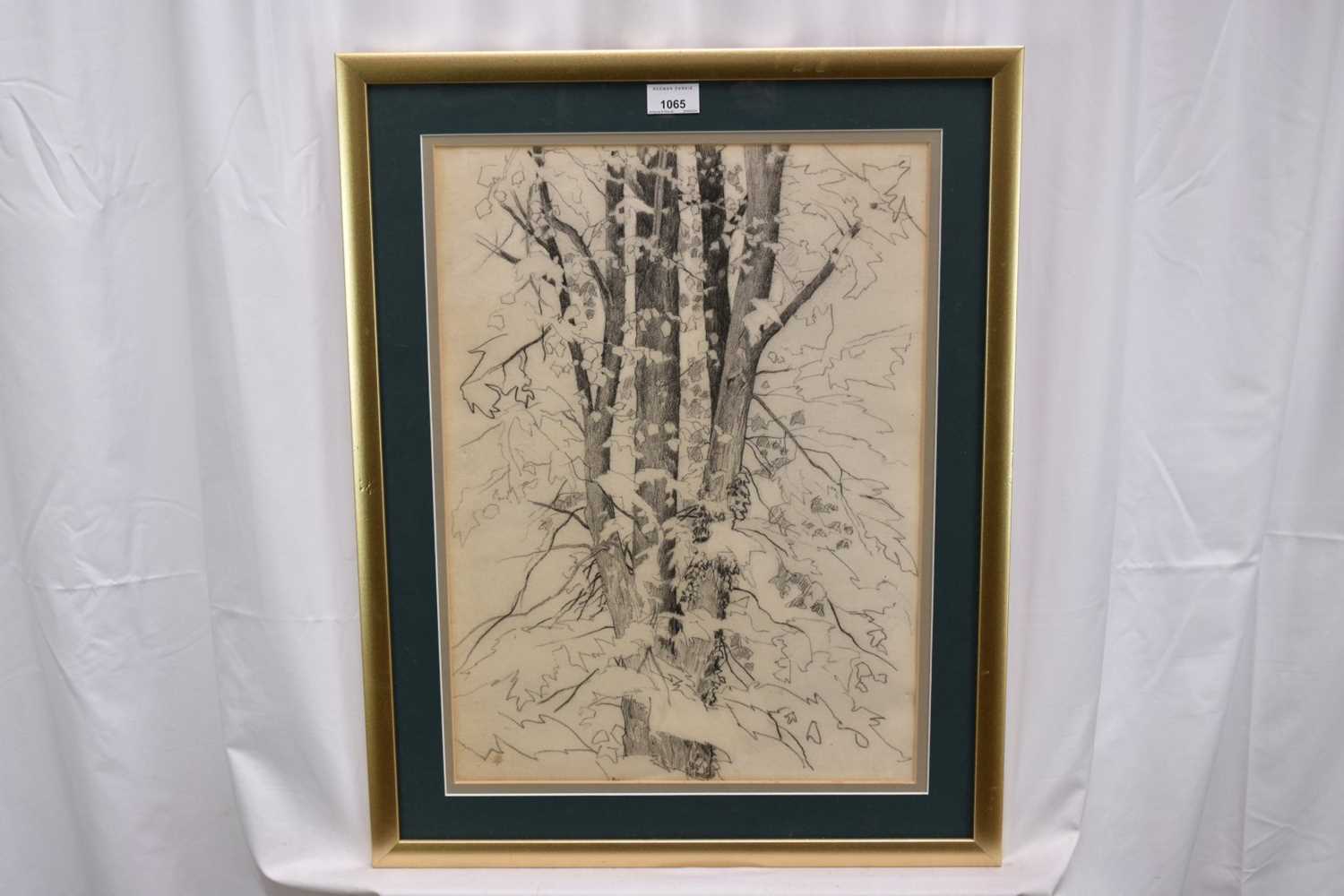 Paul Earee (1888-1968) graphite study - Tree, inscribed verso with authentication by the artist's da - Image 2 of 7
