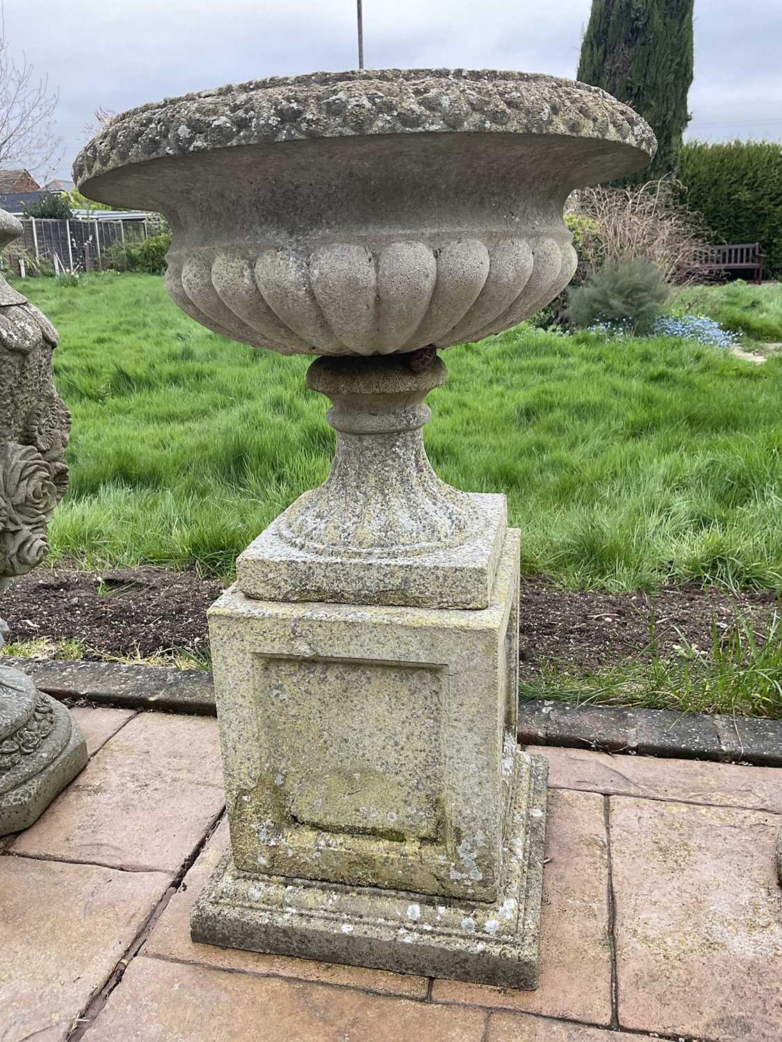 Pair of reconstituted stone garden urms of campagna form with egg and dart rim, reeded bowl on socle - Image 2 of 6