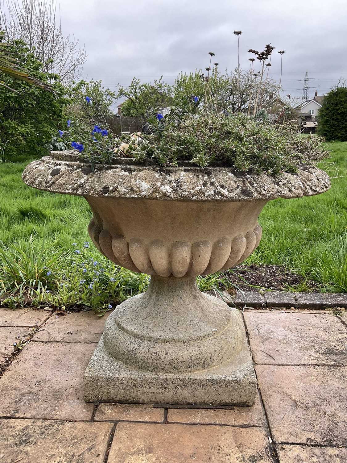 Pair of reconstituted stone garden urms of campagna form with egg and dart rim, reeded bowl on socle - Image 3 of 4