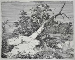 John Crome (1768-1821) etching - Road by a Stricken Oak, plate size 15.5cm x 19cm, unframed