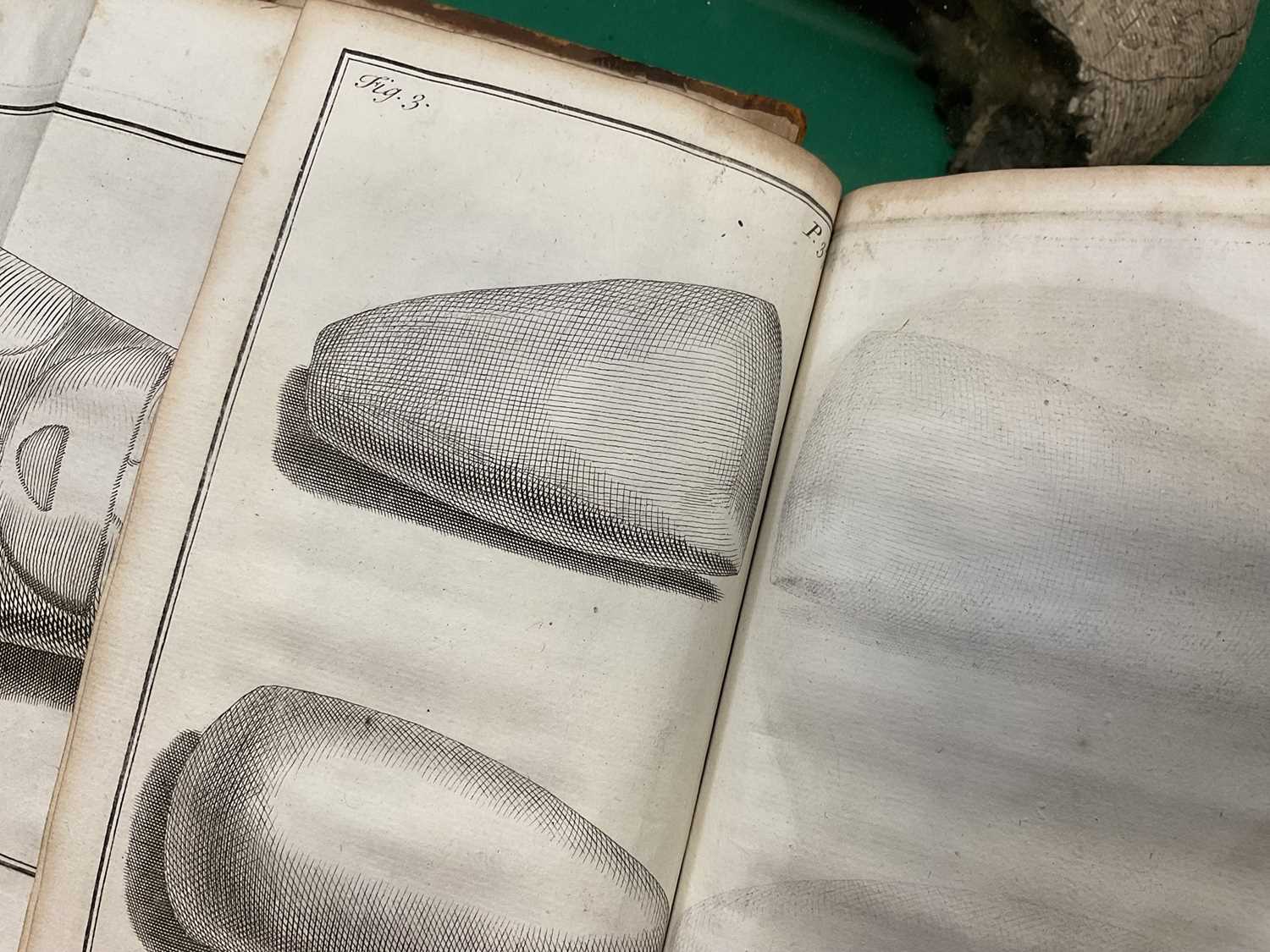 John Woodward - Fossils of all Kinds, 1728 first edition - Image 8 of 18