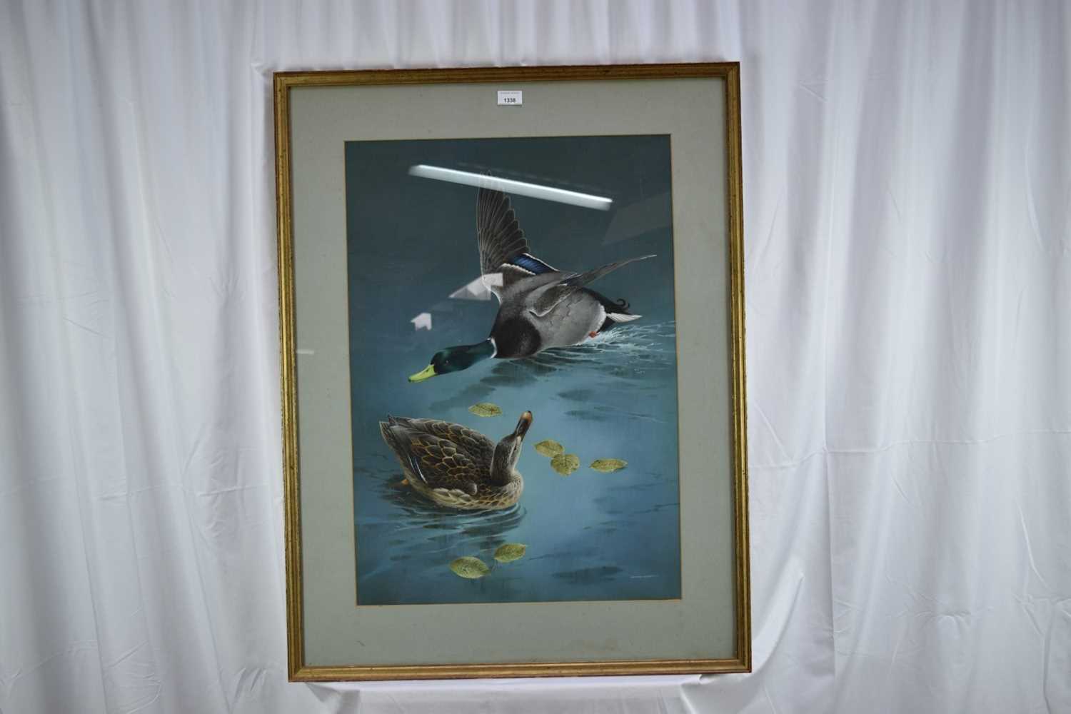 *Raymond Watson (b. 1958) watercolour and body colour - Ducks, signed, 73cm x 51cm, in glazed frame - Image 2 of 6