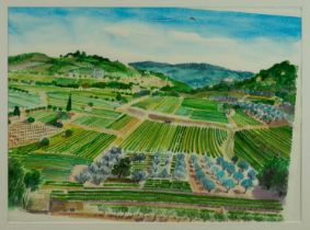 *Bernard Cheese (1925-2013) watercolour - Vineyards at Mirabel, Provence, signed, 53cm x 72cm, in gl