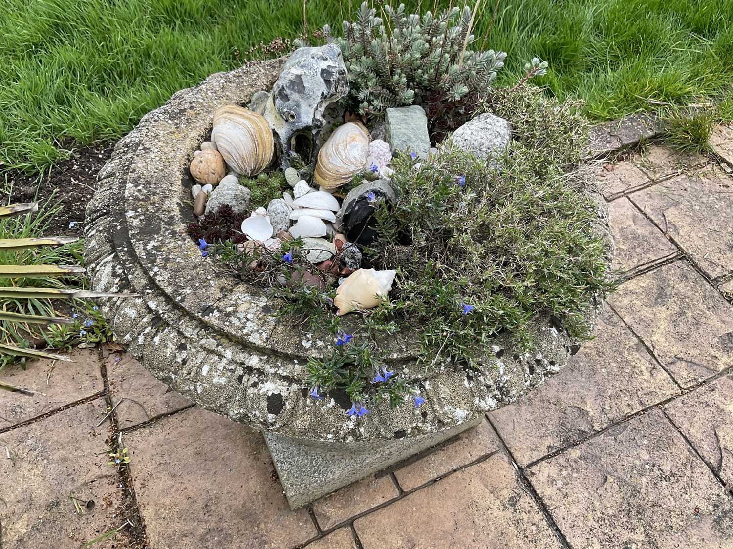 Pair of reconstituted stone garden urms of campagna form with egg and dart rim, reeded bowl on socle - Image 4 of 4