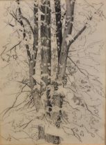Paul Earee (1888-1968) graphite study - Tree, inscribed verso with authentication by the artist's da