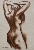 *Colin Moss (1914-2005) brown chalk - Female Nude, signed, 83cm x 58cm, in glazed frame