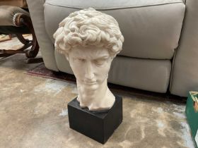 Cast stone bust of Michaelanglo's David