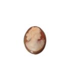 Carved shell cameo brooch with gold mount, marked 14k. 38mm