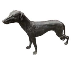 Life-sized figure of a greyhound with bronze-effect finish