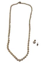 Cultured pearl necklace with 9ct gold clasp and two single pearl earrings
