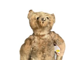 Early Steif teddy bear, boot button eyes, small hump, shaved snout, four stitched claws,button in ea