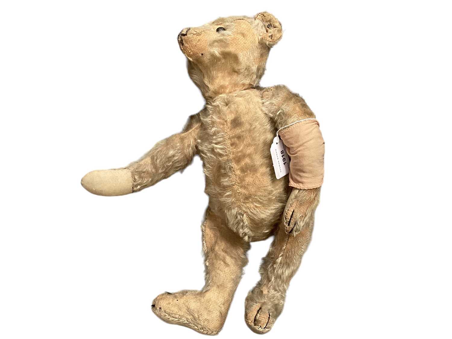 Early Steif teddy bear, boot button eyes, small hump, shaved snout, four stitched claws,button in ea - Image 2 of 3
