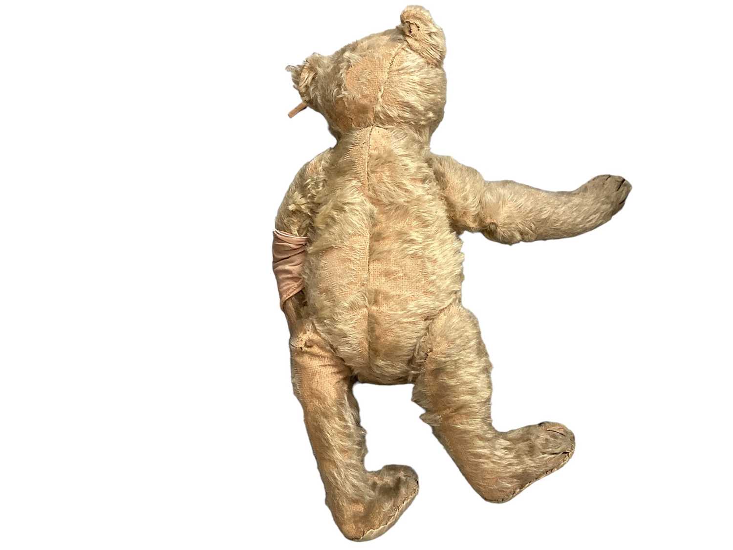 Early Steif teddy bear, boot button eyes, small hump, shaved snout, four stitched claws,button in ea - Image 3 of 3