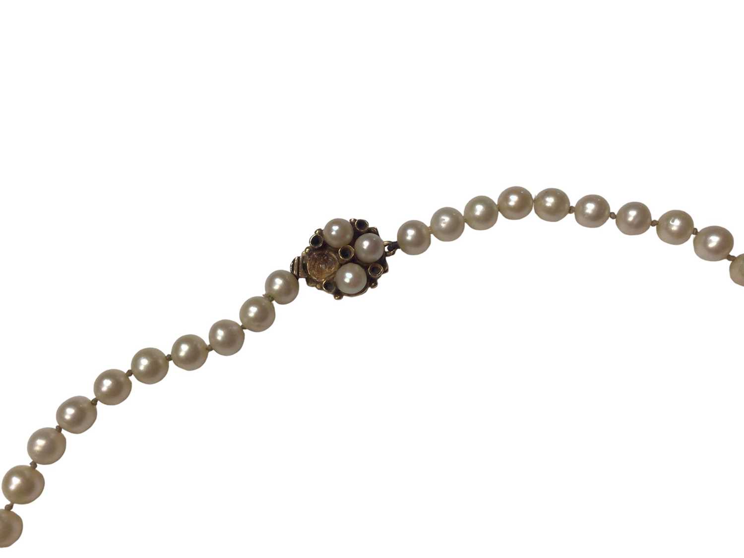 Cultured pearl necklace with 9ct gold clasp and two single pearl earrings - Image 2 of 2