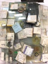 Collection of Victorian and later microscope slides