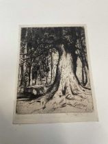 A large collection of unframed etchings and engravings