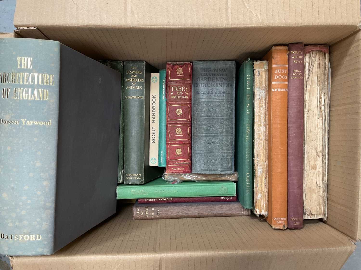 Large quantity of books relating to shipping and art - Bild 3 aus 14