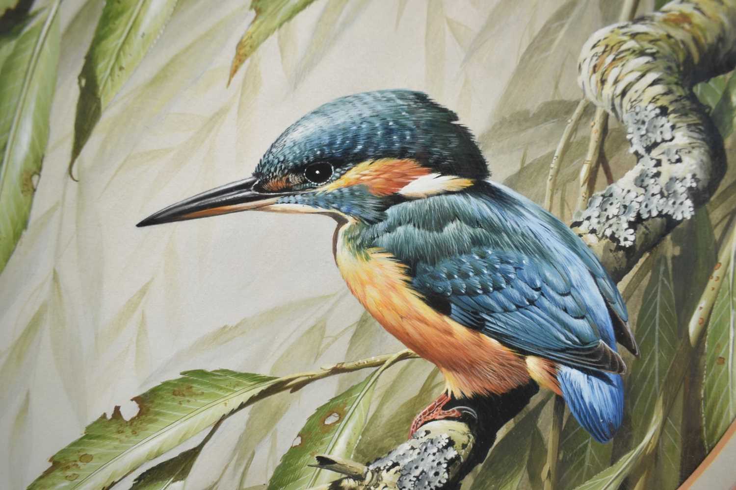 Terence James Bond (1946-2023) pair of watercolours - Kingfisher and Chaffinch, signed, 25.5cm tondo - Image 8 of 10