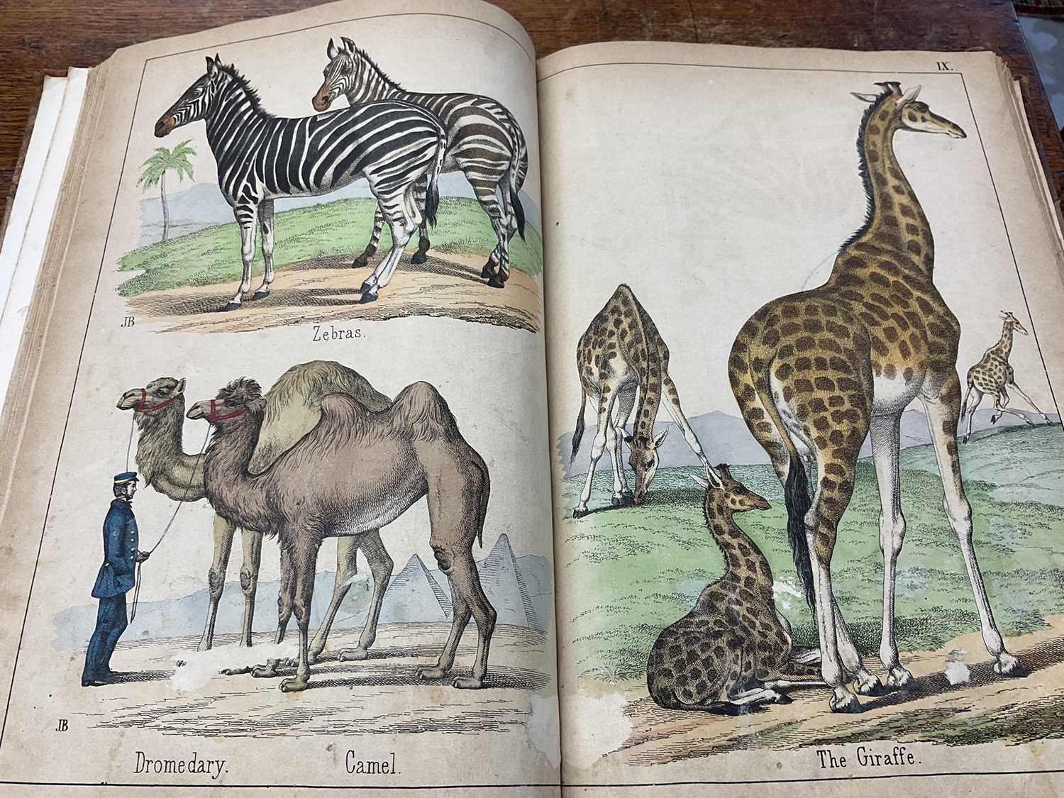 Victorian book of hand coloured engravings - The Instructive Picture book, together with a series of
